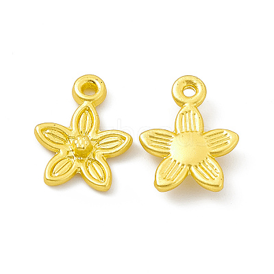 Rack Plating Alloy Charms LS-FIND-G045-05MG-1