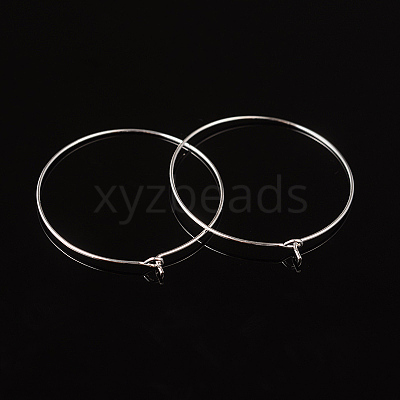 Silver Color Plated Brass Earring Hoops X-EC067-4S-1