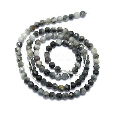 Natural Hawk's Eye Beads Strands G-P457-A03-06-1