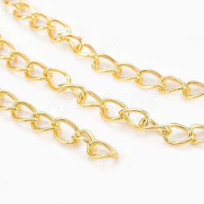 Iron Twisted Chains CH-0.7DK-G-1