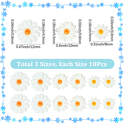 30Pcs 3 Styles Natural Freshwater Shell Beads SHEL-SC0001-91-1