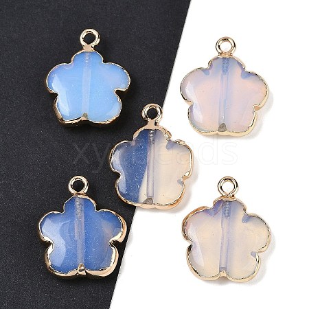 Opalite Pendants G-P566-01G-03-1