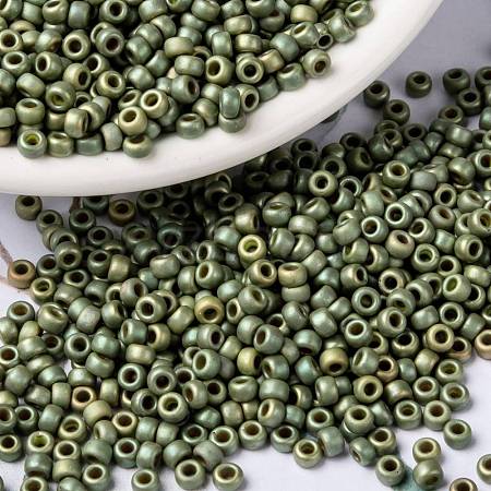 MIYUKI Round Rocailles Beads X-SEED-G008-RR2033-1