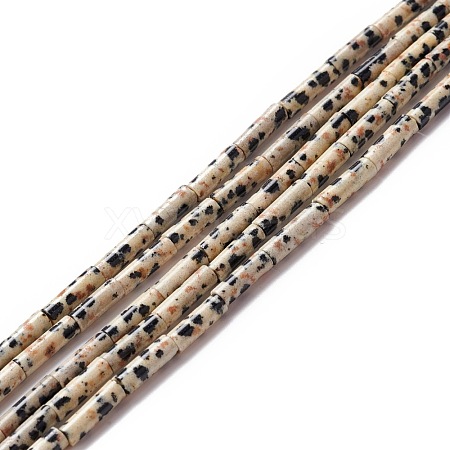 Natural Dalmatian Jasper Beads Strands G-A201-B12-1