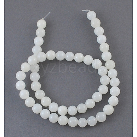 Natural White Shell Beads Strands X-SHEL-S200-1-1