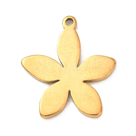 304 Stainless Steel Pendants STAS-Z204-01G-04-1
