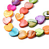Natural Freshwater Shell Beads Strands X-SHEL-S278-024A-3