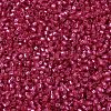 MIYUKI Delica Beads X-SEED-J020-DB2154-3