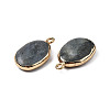 Natural Labradorite Pendants G-N326-130-05-3