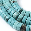 Natural Howlite Beads Strands X-TURQ-L030-04B-01-2