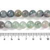 Natural Fluorite Beads Strands G-P530-B04-04-5