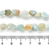 Natural Flower Amazonite Beads Strands G-P497-01C-27-5