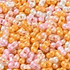 Glass Seed Beads SEED-L011-04A-19-3