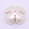 ABS Imitation Pearl Cabochons Accessories FIND-TAC0001-16-2