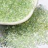 Glass Seed Beads SEED-K009-04A-08-1