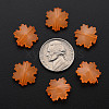 Imitation Jelly Acrylic Beads LS-MACR-S373-92-E05-4