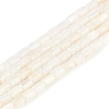 Natural Freshwater Shell Beads Strands BSHE-H109-17A-1