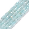 Natural Amazonite Beads Strands G-E194-02B-1