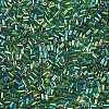 Two Cut Glass Seed Beads CSDB167B-2