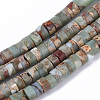 Natural Aqua Terra Jasper Beads Strands X-G-S366-012B-1