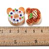 Imitation Food Resin Decoden Cabochons CRES-R199-04-3