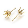 304 Stainless Steel Stud Earring Findings STAS-P221-20E-G-2