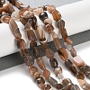 Natural Black Sunstone Beads Strands G-P497-01C-16-2