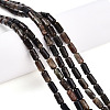 Natural Biotite Beads Strands G-N346-01A-02-1