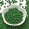 Opaque Colours Glass Seed Beads SEED-C001-02B-10-2