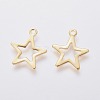 304 Stainless Steel Charms STAS-L234-095G-2