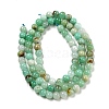 Natural Chrysoprase Beads Strands G-P503-4MM-03-3