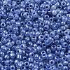 Glass Seed Beads SEED-A011-3mm-146-2
