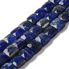 Natural Lapis Lazuli Beads Strands G-C109-A17-02-1