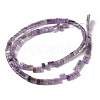 Natural Amethyst Beads Strands G-Z045-A13-01-3