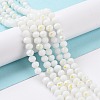 Electroplate Opaque Solid Color Glass Beads Strands LS-EGLA-A034-P6mm-L17-5