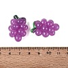 Imitation Jelly Effect Acrylic Beads OACR-N126-08A-3