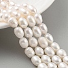 Natural Cultured Freshwater Pearl Beads Strands PEAR-P062-10I-2