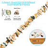 1 Strand Natural Seashell Shell Beads Strands SSHEL-TA0001-12-3