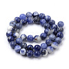 Natural South Africa Sodalite Beads Strands G-S259-35-10mm-3