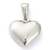 304 Stainless Steel Pendants STAS-P278-01Z-P-2