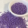 Opaque Colours Glass Seed Beads PW-WG6EF65-08-1