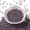 Baking Paint Glass Seed Beads X-SEED-S042-15A-14-2