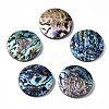 Natural Abalone Shell/Paua Shell Pendants SSHEL-N034-86-1