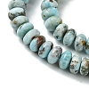 Natural Larimar Beads Strands G-H004-A01-01-4