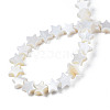 Natural Freshwater Shell Beads Strands SHEL-S278-01A-01-4