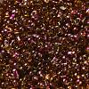 Spray Painted Glass Seed Beads SEED-F005-03A-03-3