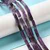 Natural Lepidolite/Purple Mica Stone Beads Strands G-E612-C05-A-2