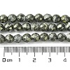 Natural Gemstone Beads Strands G-D067-I03-C02-2