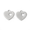 Non-Tarnish 201 Stainless Steel Charms STAS-F192-042P-2