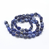 Natural Sodalite Beads Strands G-K230-04B-2